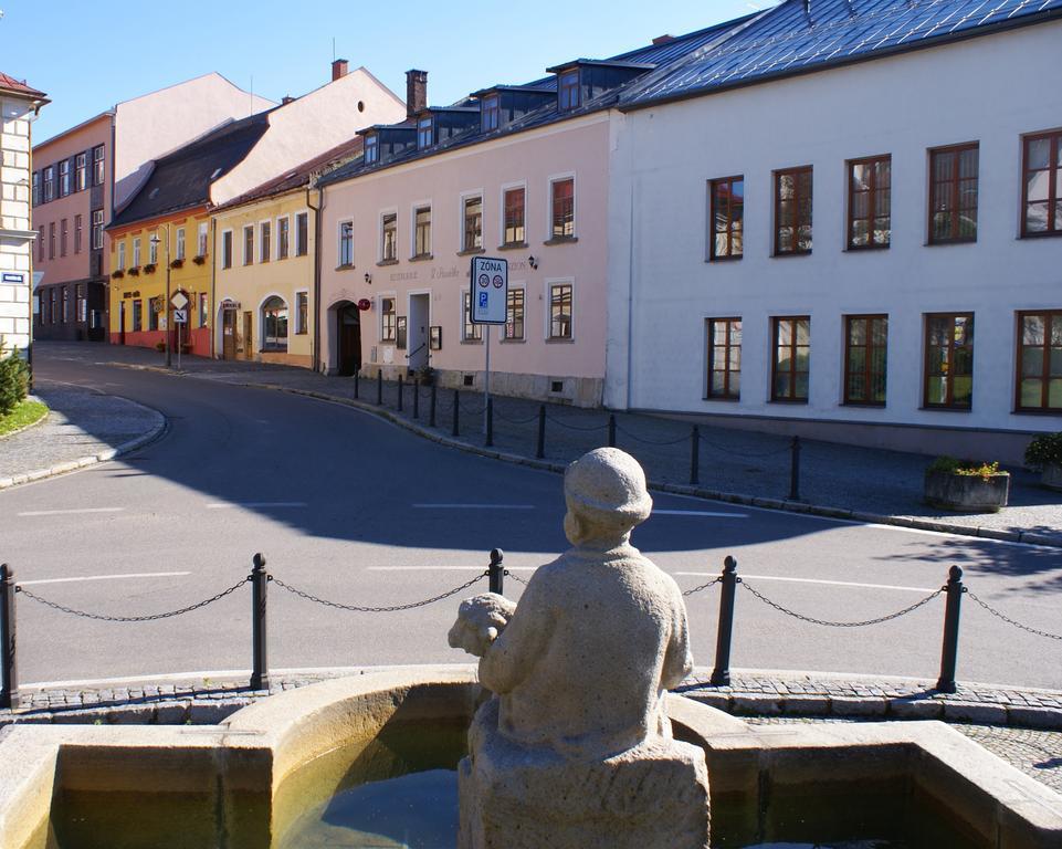 Penzion U Pasacka Nove Mesto na Morave Bagian luar foto